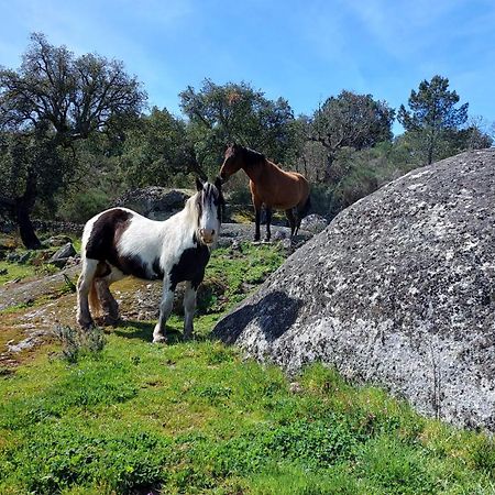 Magic Nature Lodge Marvão المظهر الخارجي الصورة