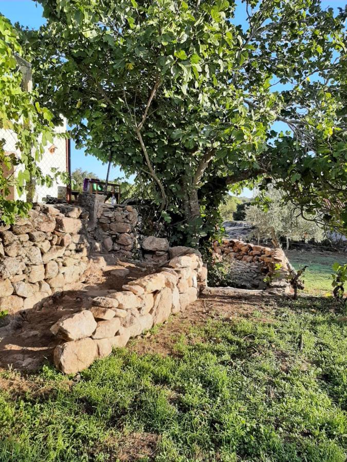 Magic Nature Lodge Marvão المظهر الخارجي الصورة