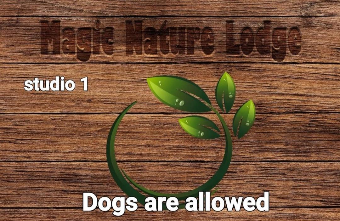 Magic Nature Lodge Marvão الغرفة الصورة