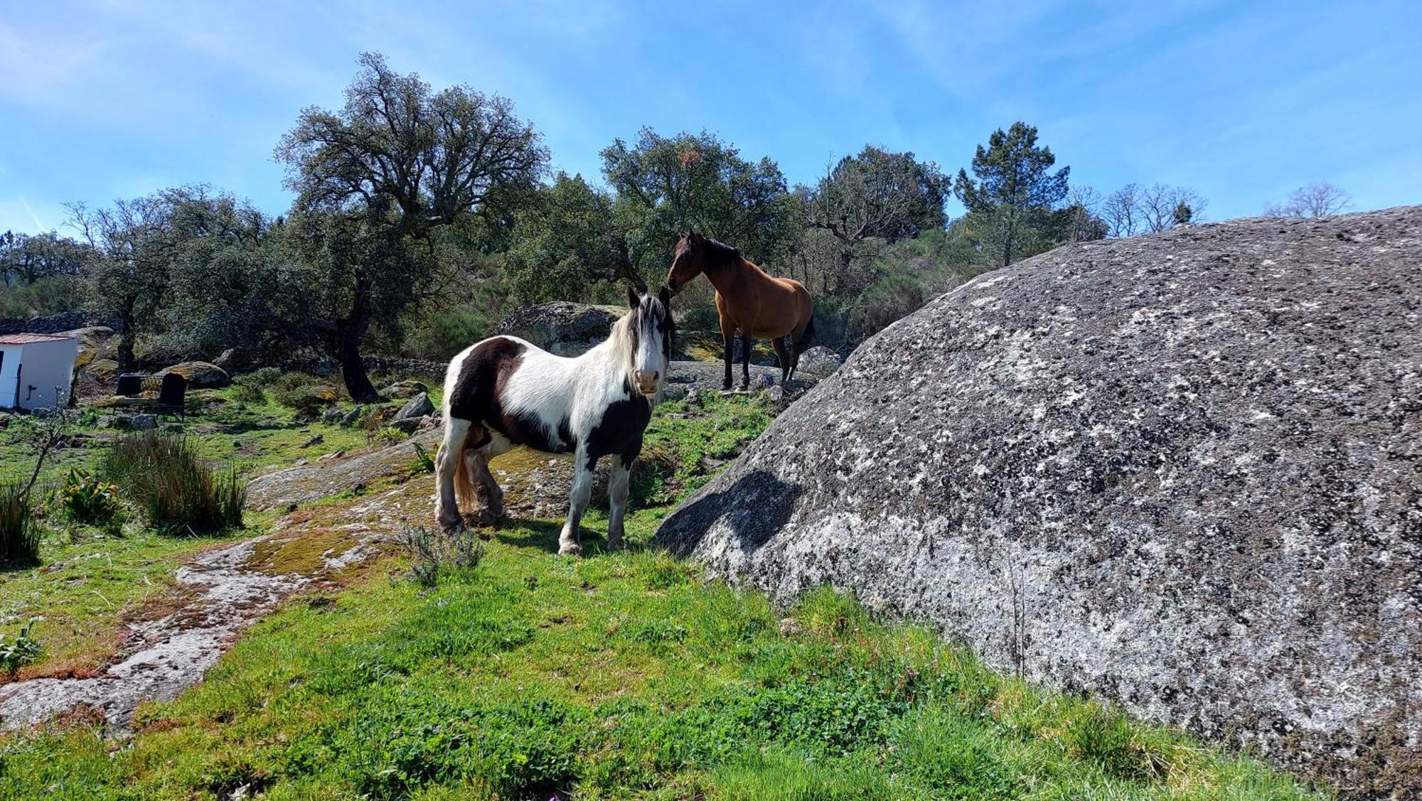 Magic Nature Lodge Marvão المظهر الخارجي الصورة